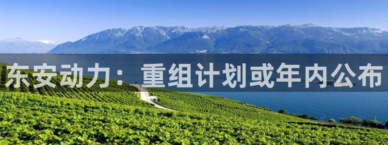 辉达娱乐路线1：东安动力：重组计划或年内公布