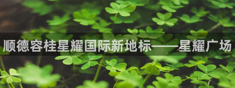 辉达娱乐3登录：顺德容桂星耀国际新地标——星耀广场