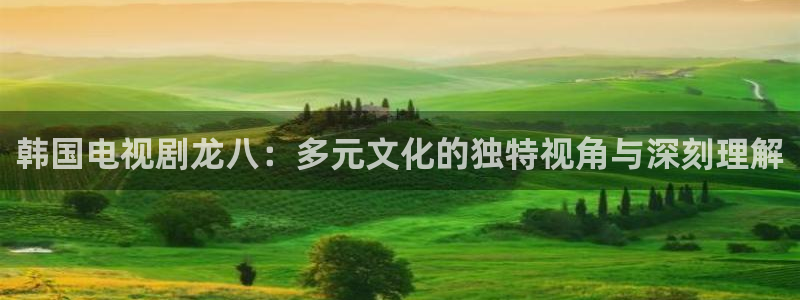 辉达娱乐游戏官网版：韩国电视剧龙八：多元文化的独特视角与深刻理解