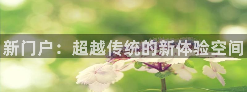 辉达娱乐平台主管：新门户：超越传统的新体验空间