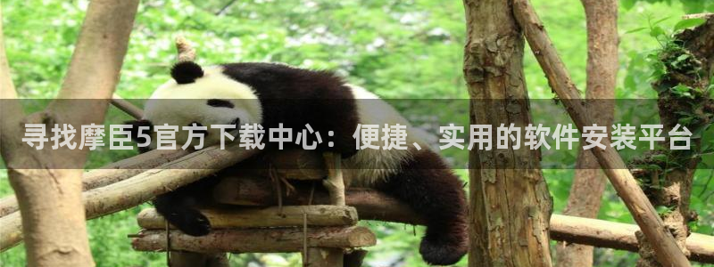 辉达娱乐官网下载：寻找摩臣5官方下载中心：便捷、实用的软件安装平台