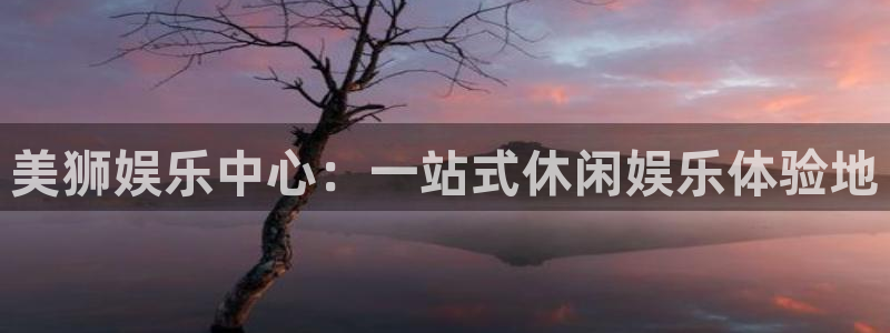 辉达娱乐注册平台：美狮娱乐中心：一站式休闲娱乐体验地