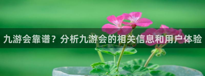 辉达娱乐注册平台：九游会靠谱？分析九游会的相关信息和用户体验