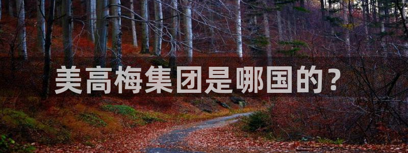 辉达娱乐游戏：美高梅集团是哪国的？