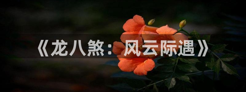 辉达娱乐注册网站链接：《龙八煞：风云际遇》