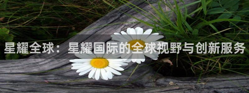 辉达娱乐平台下载入口：星耀全球：星耀国际的全球视野与创新服务