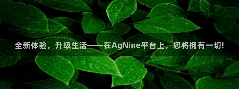 辉达娱乐游戏官网入口：全新体验，升级生活——在AgNine平台上，您将拥有一切!