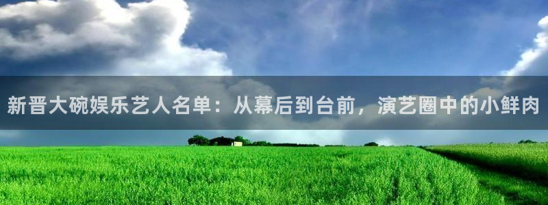 辉达娱乐体育注册登录入口：新晋大碗娱乐艺人名单：从幕后到台前，演艺圈中的小鲜肉
