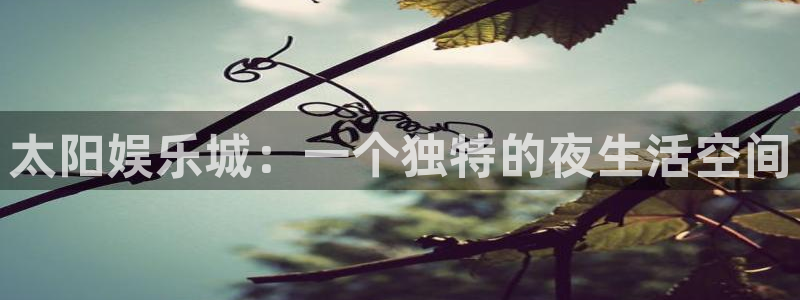 辉达娱乐凯捷开号链接：太阳娱乐城：一个独特的夜生活空间
