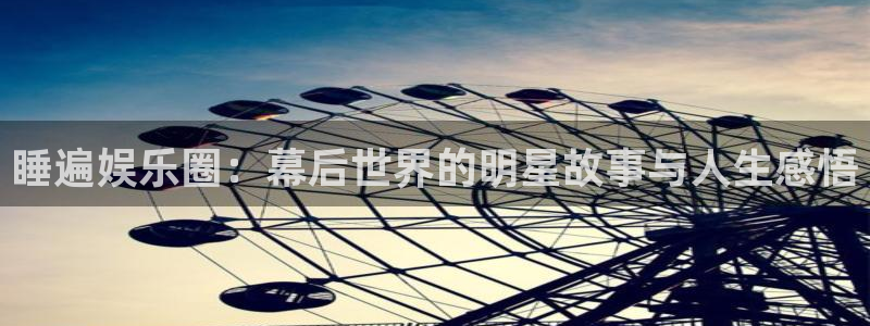 辉达娱乐体育用品：睡遍娱乐圈：幕后世界的明星故事与人生感悟