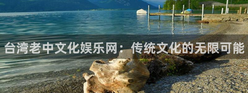 辉达娱乐注册网站链接：台湾老中文化娱乐网：传统文化的无限可能