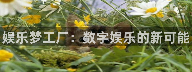 辉达娱乐是啥：娱乐梦工厂：数字娱乐的新可能