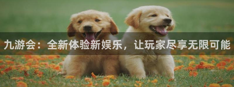 辉达娱乐平台最新版本下载：九游会：全新体验新娱乐，让玩家尽享无限可能