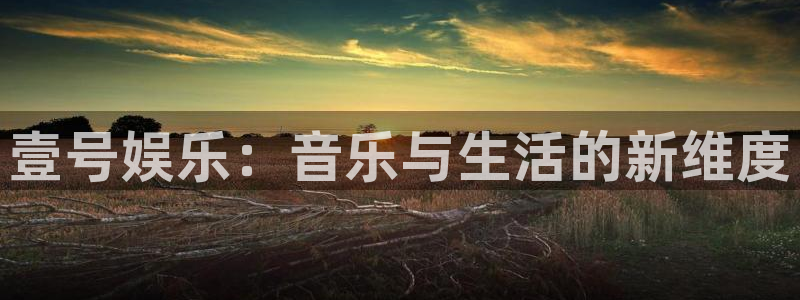辉达娱乐游戏官网平台入口：壹号娱乐：音乐与生活的新维度