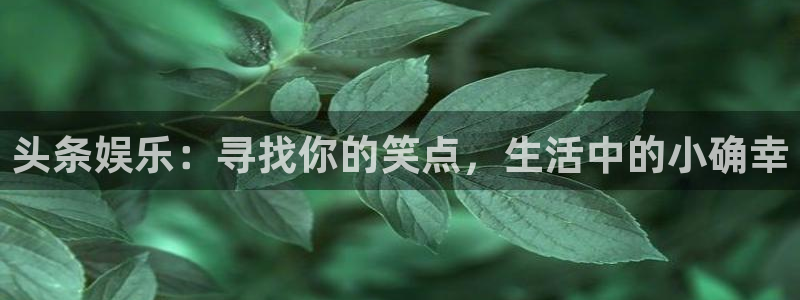 辉达娱乐体育官网入口登录：头条娱乐：寻找你的笑点，生活中的小确幸