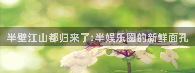 辉达娱乐官网：半壁江山都归来了:半娱乐圈的新鲜面孔