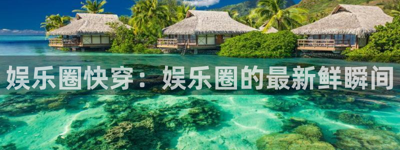 辉达娱乐预测pc在线预测网址：娱乐圈快穿：娱乐圈的最新鲜瞬间