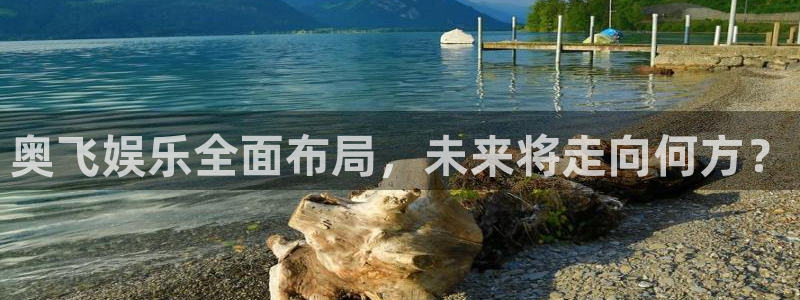 辉达娱乐网站：奥飞娱乐全面布局，未来将走向何方？