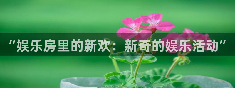 辉达娱乐平台招商：“娱乐房里的新欢：新奇的娱乐活动”