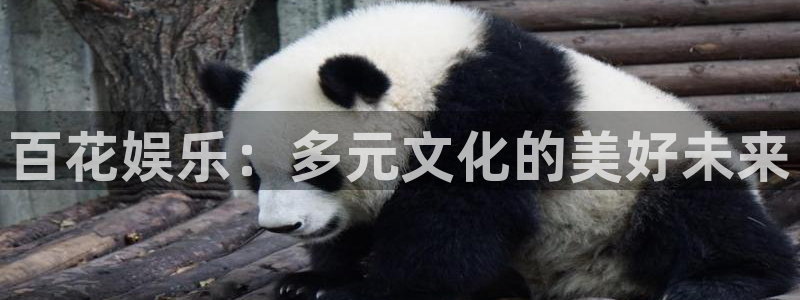 辉达娱乐招商：百花娱乐：多元文化的美好未来