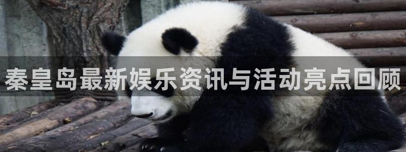 辉达娱乐平台招商：秦皇岛最新娱乐资讯与活动亮点回顾