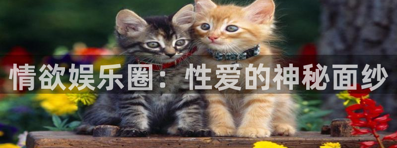辉达娱乐2登录地址：情欲娱乐圈：性爱的神秘面纱