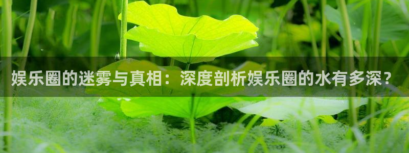 辉达娱乐.ccm苹果版：娱乐圈的迷雾与真相：深度剖析娱乐圈的水有多深？