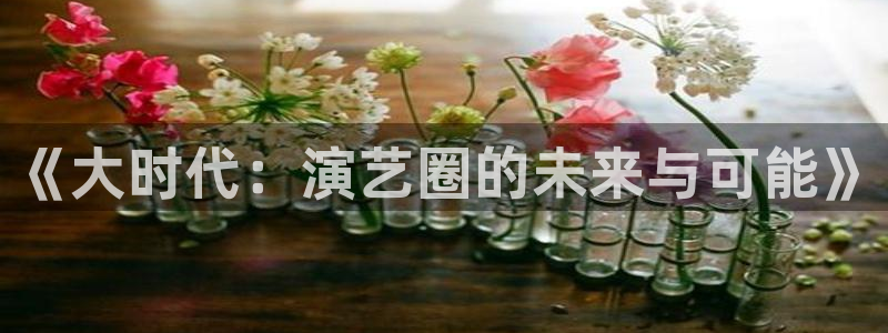辉达娱乐.ccm：《大时代：演艺圈的未来与可能》