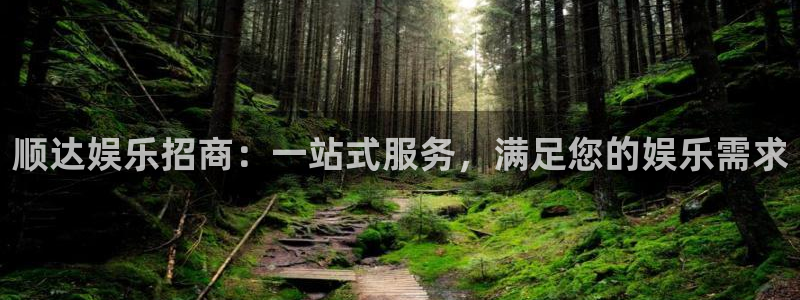 辉达娱乐官网地址：顺达娱乐招商：一站式服务，满足您的娱乐需求