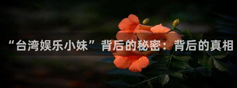辉达娱乐代理注册官网入口：“台湾娱乐小妹”背后的秘密：背后的真相